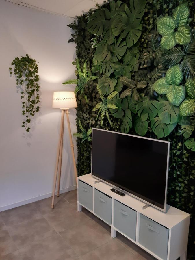 Tropical Garden Apartment Alicante Exteriör bild